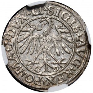 Sigismund II Augustus, half-penny 1547, Vilnius, LI/LITVA