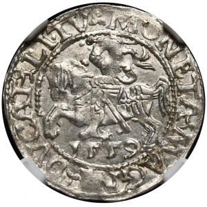Sigismund II. Augustus, halber Pfennig 1559, Vilnius, L/LITV