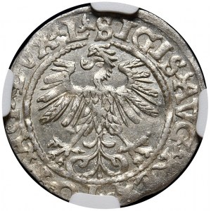 Sigismund II Augustus, half-penny 1560, Vilnius, L/LITV