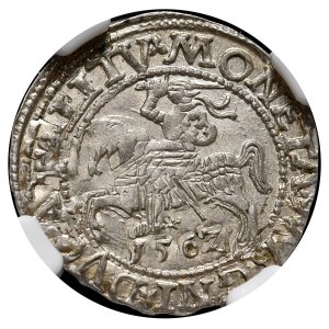 Sigismund II. Augustus, halber Pfennig 1562, Vilnius, L/LITV