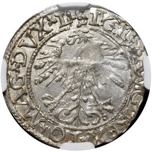 Sigismund II. Augustus, halber Pfennig 1562, Vilnius, L/LITV