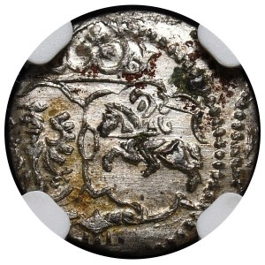 Sigismund III Vasa, denarius 1623, Lobznica