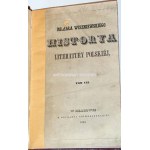 WISZNIEWSKI - HISTORYA LITERATURY POLSKIEJ t. 1-10 w 9 wol. [komplet]