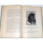 KAMOCKI - HANDBUCH DER JAGD, veröffentlicht 1927