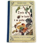 BUCKLEY - ŻYCIE W LESIE W POLU chromolitografie