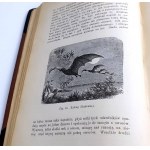 BREHM- KRÓLESTWO ZWIERZĄT. OBRAZY Z ŻYCIA I OBYCZAJÓW ŚWIATA ZWIERZĘCEGO wyd. 1893