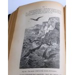 BREHM- KRÓLESTWO ZWIERZĄT. OBRAZY Z ŻYCIA I OBYCZAJÓW ŚWIATA ZWIERZĘCEGO wyd. 1893