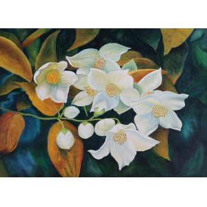 Ewa BUKSZA, Jasmine