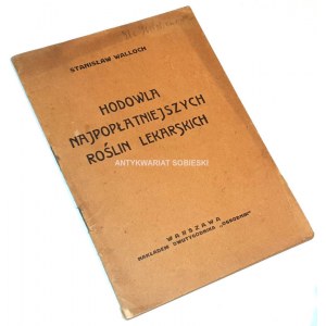 WALLOCH - HODOWLA NAJPOPŁATNIEJSZYCH POSLIN LEKARSKICH