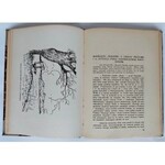 Dziesięciolecie przewrotu majowego : 1926 - 12 - maj - 16 - 1936