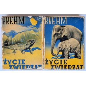 Brehm, Życie zwierząt Tom 1-2, 1935-36 r. Obwoluty