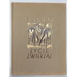 Brehm, Życie zwierząt Tom 1-2, 1935-36 r. Obwoluty