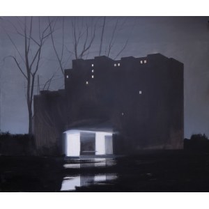 Patrick Staruch, Peripherie I - Schlafzimmer der Stadt
