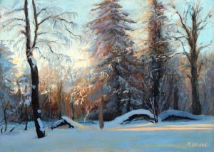 Małgorzata Gidel, Winter forest, 2021 r.