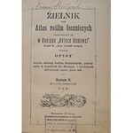 ZIELNIK czyli Atlas roślin leczniczych znachodzących się w Kneippa „Aptece domowej” (Część II...