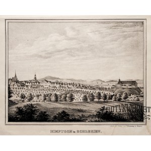 NIEMCZA (pow. dzierżoniowski). Panorama miasta; anonim, pochodzi z: Silesia. Museum für schlesisc …