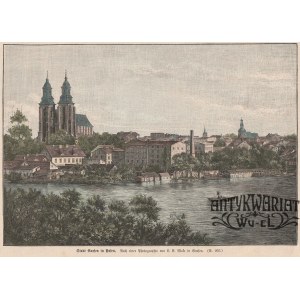GNIEZNO. Widok miasta z katedrą; według fot. Ludwiki Mąke, ok. 1880; drzew. szt. kolor., st. bdb. …