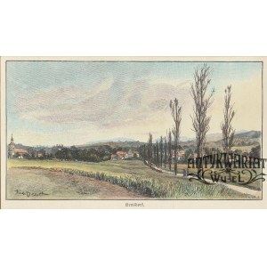 JAWORZE (pow. bielski). Panorama miejscowości; ryt. K. Tinter, rys. R. Bernt, 1897; drzew. szt. k …