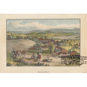 KAMIENNA GÓRA. Panorama miasta; anonim, ok. 1890; drzew. szt. kolor., st. bdb.; wym.: 115x75 mm; …