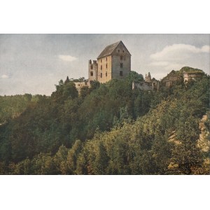 ŚWINY (pow. jaworski). Zamek Świny. Wg fot. Juliusa Hollosa, na ozdobnym kartonie, kolor., st. bd …