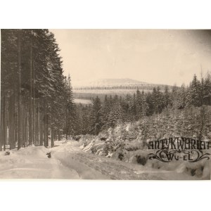 KARKONOSZE. Leśna droga zimą; fot. naklejona na arkusz papieru, na verso odręczny opis: Riesengeb …
