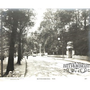 KRÓLEWIEC (ros. Калининград). Dzielnica Hufen; pochodzi z teki: Königsberg, Berlin 1906; fot. cz. …
