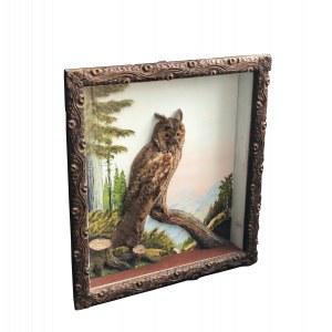 Hunting diorama with owl, early 20th century
