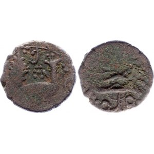 Georgia Kartli Æ Puli Peacock 1717 - 1719 AH 1129 - 1131 Bakar