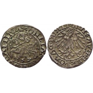 Lithuania 1/2 Groschen / Półgrosz 1557 R6 Sigismund II Augustus
