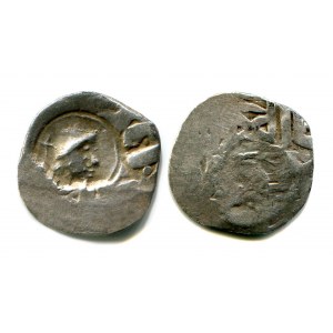 Russia SNVK The Head Is Stamped On The Coin 1392 - 1395 R-3 RARE!