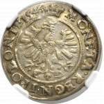 Sigismund I the Old, Groschen 1546, Cracov - NGC AU58