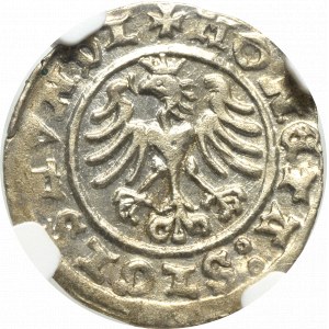 Sigismund I the Old, Halfgroat 1508, Cracow - NGC MS62