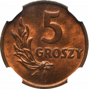 PRL, 5 groszy 1949 Brąz - NGC MS64 RB