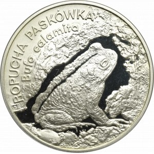 III RP, 20 złotych 1998 Ropucha Paskówka