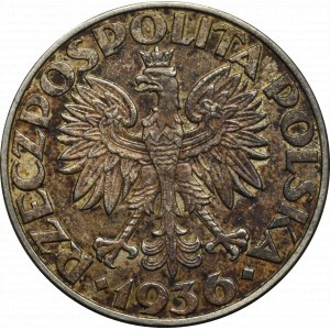 II RP, 5 złotych 1936 Żaglowiec