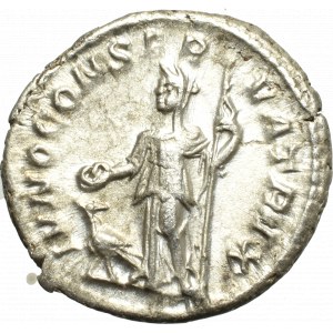 Cesarstwo Rzymskie, Julia Mamaea, Denar - Iuno Conservatrix