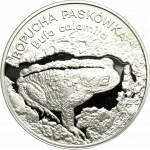III RP, 20 złotych 1998 Ropucha Paskówka