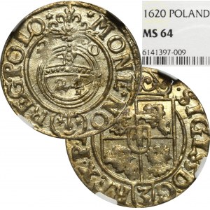 Zygmunt III Waza, Półtorak 1620, Bydgoszcz - NGC MS64