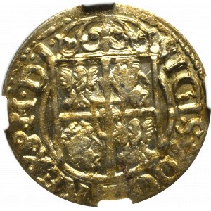 Zygmunt III Waza, Półtorak 1621, Bydgoszcz - SIGIS NGC MS63