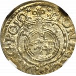 Zygmunt III Waza, Półtorak 1621, Bydgoszcz - SIGIS NGC MS63