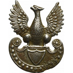 Królestwo Polskie, Polska Siła Zbrojna, Orzeł