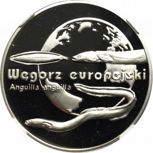 III RP, 20 złotych 2003 Węgorz europejski - NGC PF 69 Ultra Cameo