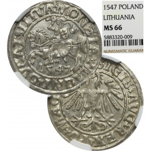 Sigismund II Augustus, Halfgroat 1547, Vilnius - NGC MS65