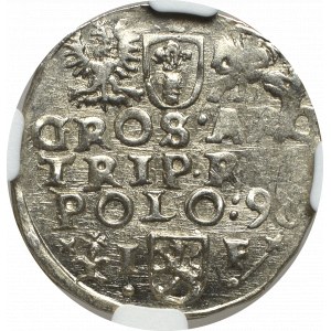 Zygmunt III Waza, Trojak 1598, Wschowa - NGC MS61