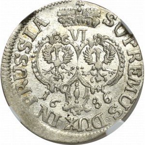 Prusy Książęce, Szóstak 1686, Królewiec - NNR MS63