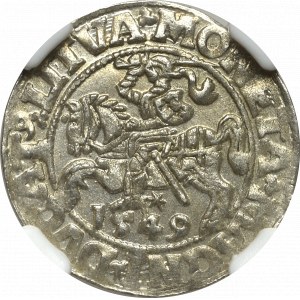 Sigismund II Augustus, Halfgroat 1549, Vilnius - LI/LITVA NGC MS64