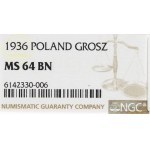 II Republic of Poland, 1 groschen 1936 - NGC MS64 BN