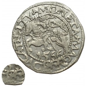 Sigismund II Augustus, Halfgroat 1566, Tiktin - L/LITV