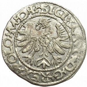 Sigismund II Augustus, Halfgroat 1566, Tiktin - L/LITV