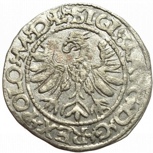 Zygmunt II August, Półgrosz 1566, Tykocin - mały Jastrzębiec / RZADKOŚĆ